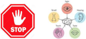 stop sign and diagram of 5 senses interacting with the brain